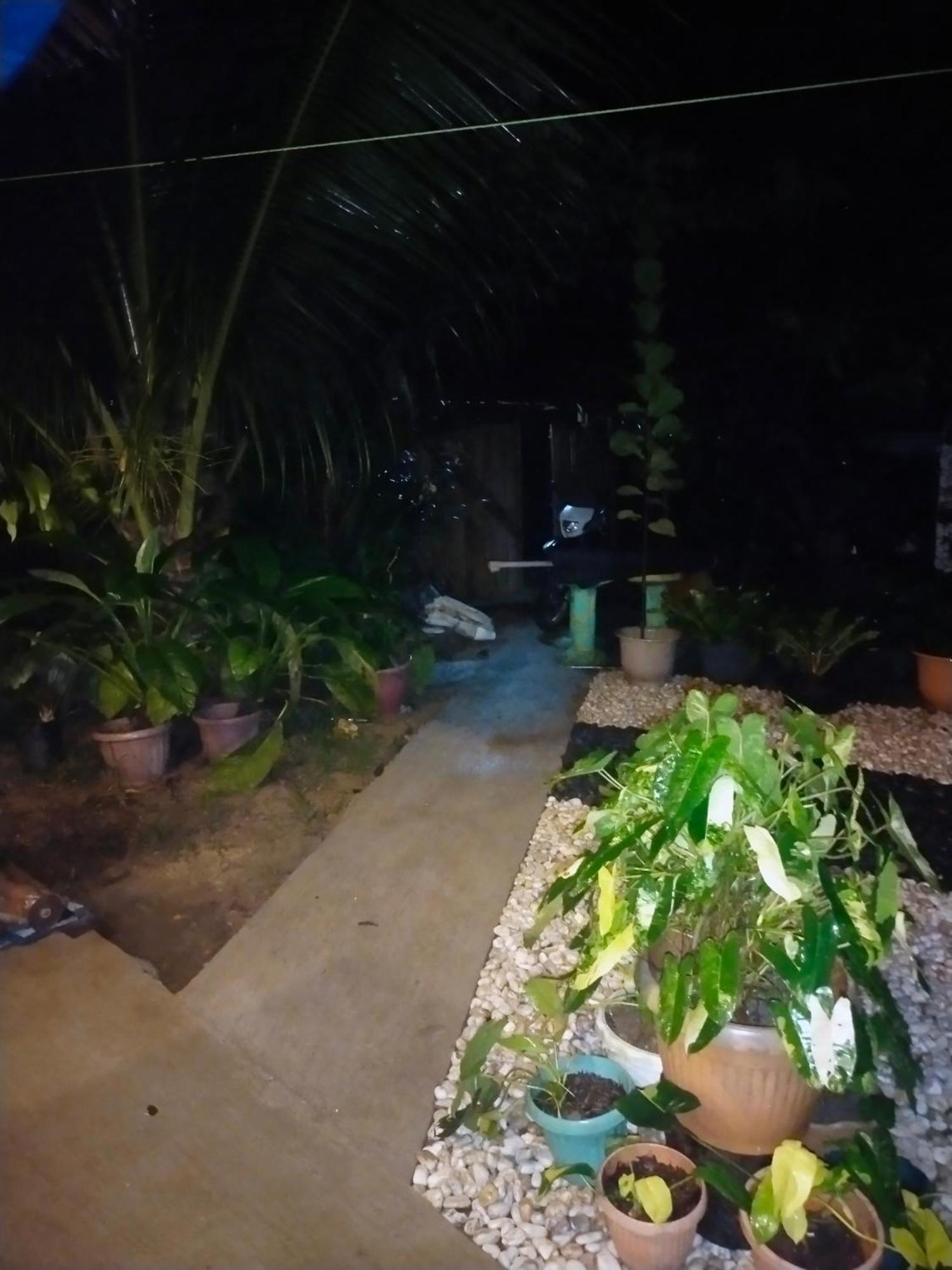 Ziah'S Guest House San Vicente  Exterior photo